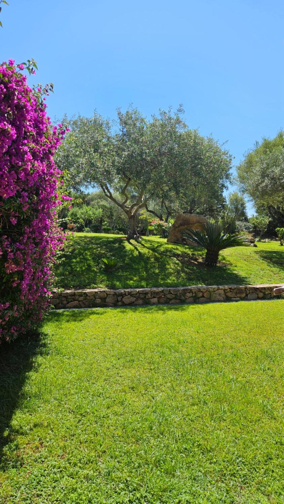 Residenze Coda Cavallo San Teodoro  Exterior photo